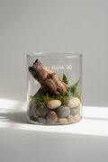 River Bank 30
