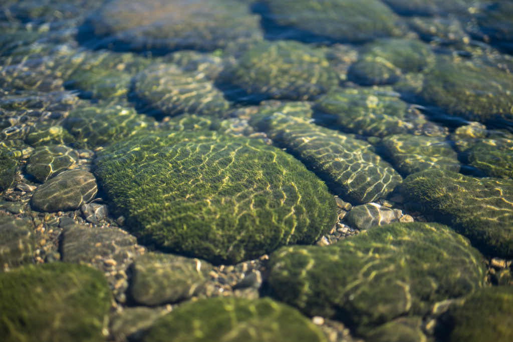 River Stream